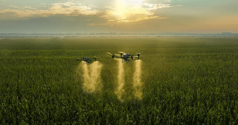 DJI Agras T50 and T25: Features and Key Differences